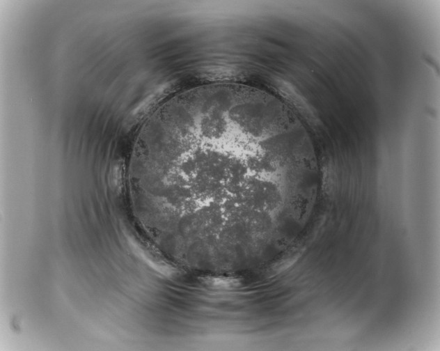 X0000100230165200805301420