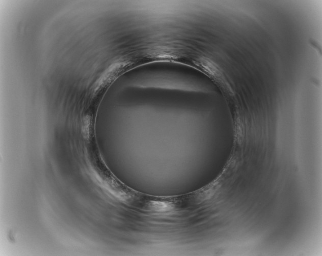 X0000100230167200805301420