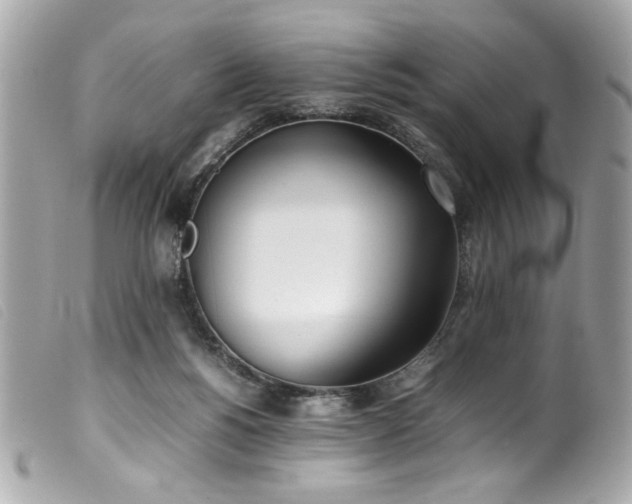 X0000100230168200805301420