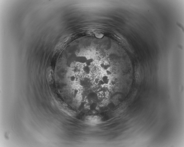 X0000100230169200805301420