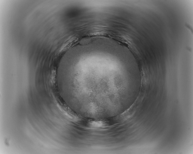 X0000100230171200805301420