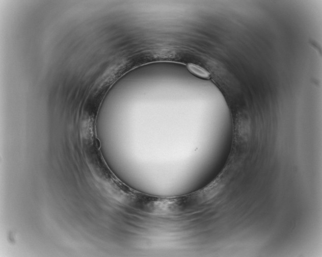 X0000100230172200805301420