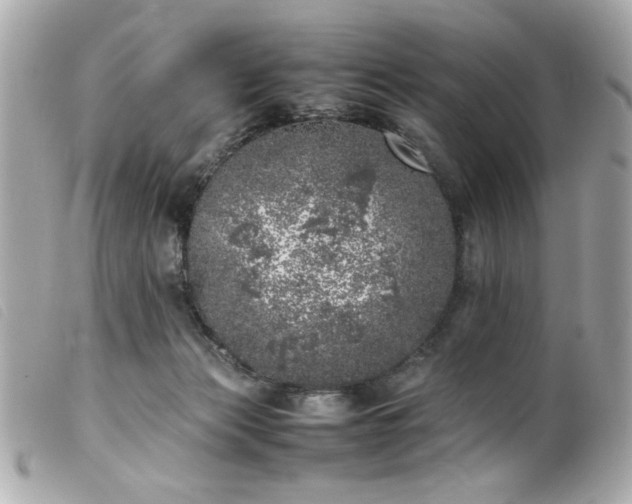 X0000100230173200805301420