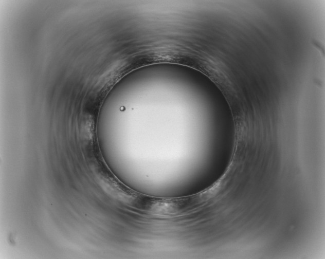 X0000100230174200805301420