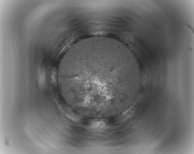 X0000100230175200805301420