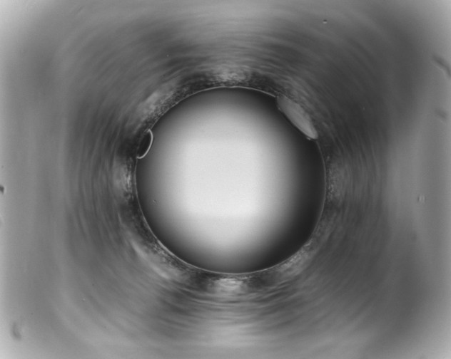 X0000100230176200805301420