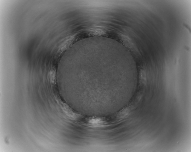 X0000100230177200805301420