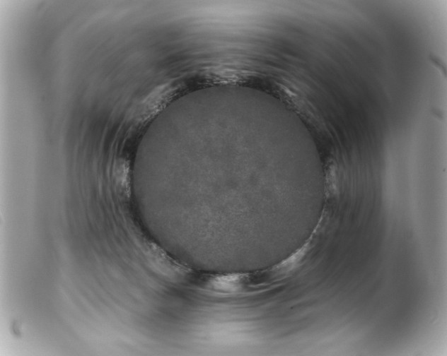 X0000100230178200805301420