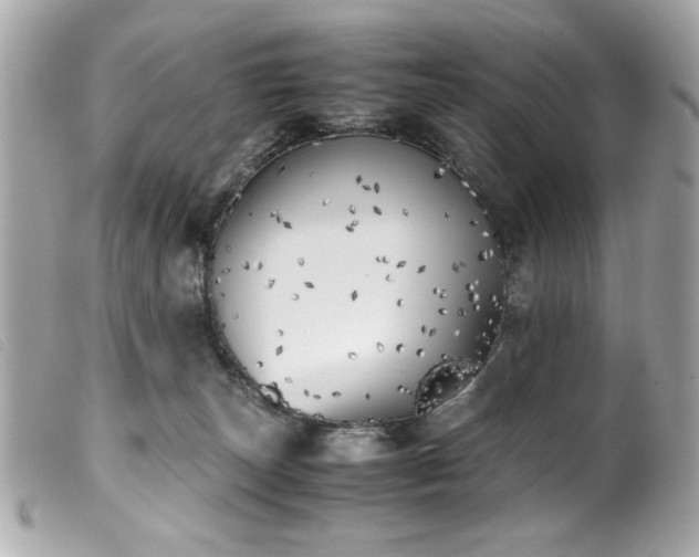 X0000100230179200805301420