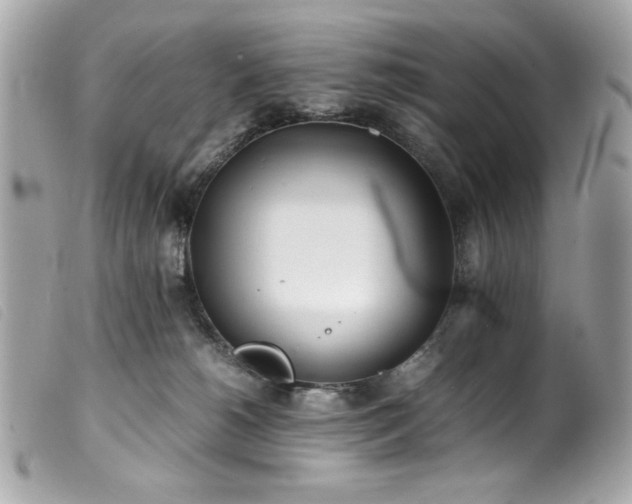 X0000100230180200805301420