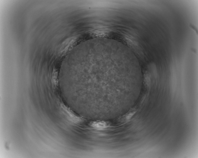 X0000100230181200805301420