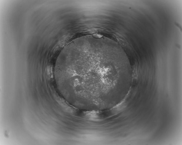 X0000100230182200805301420