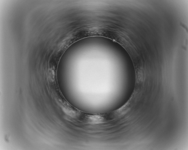 X0000100230183200805301420