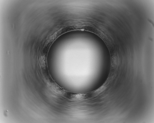 X0000100230184200805301420