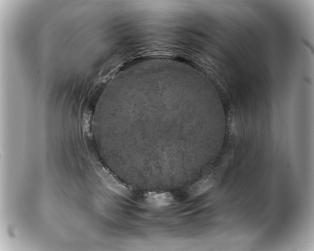 X0000100230185200805301420