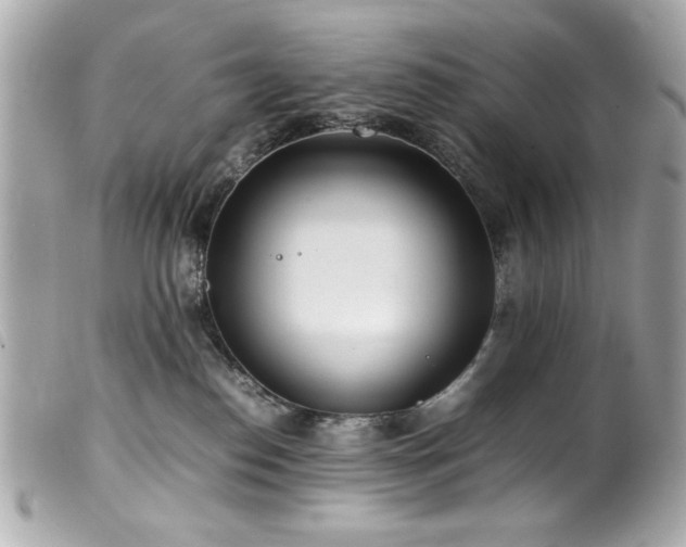 X0000100230186200805301420