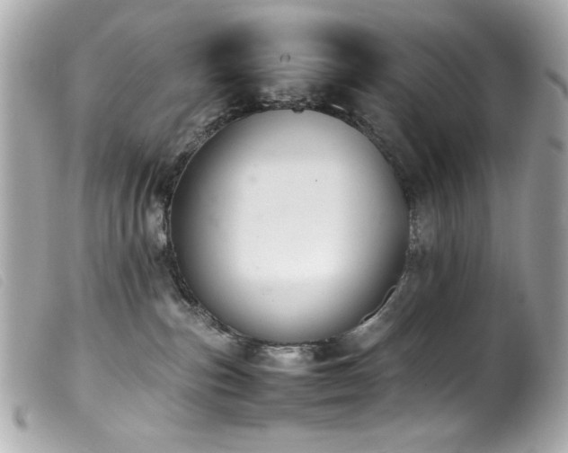 X0000100230187200805301420