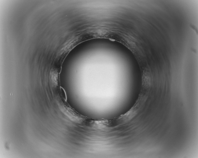 X0000100230188200805301420