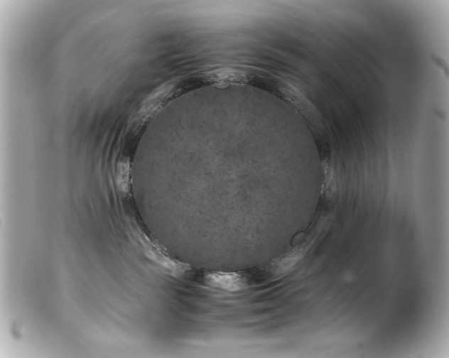 X0000100230189200805301420