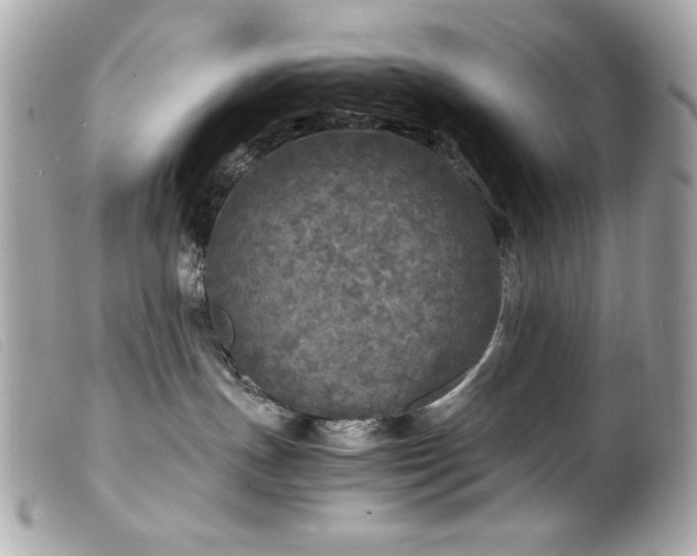 X0000100230191200805301420