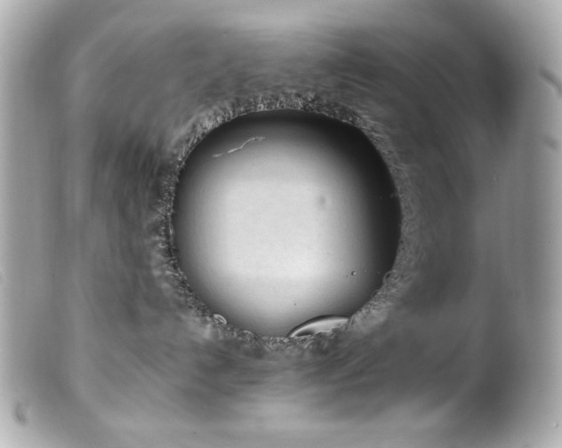 X0000100230192200805301420