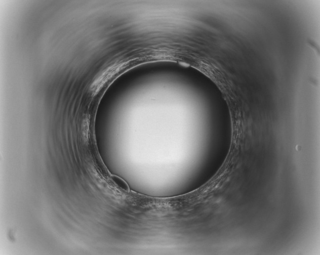 X0000100230194200805301420