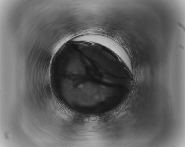 X0000100230196200805301420