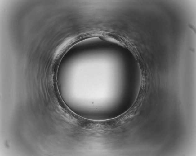 X0000100230197200805301420