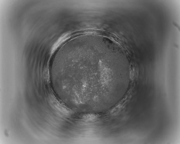 X0000100230198200805301420