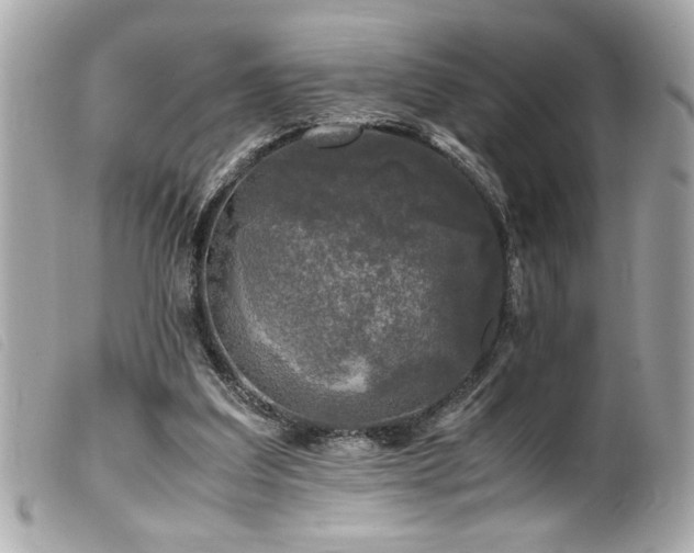 X0000100230203200805301419