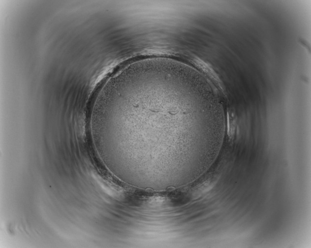 X0000100230204200805301419