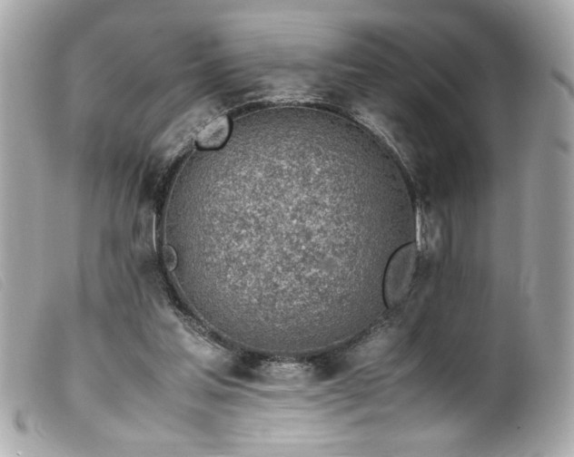 X0000100230205200805301419