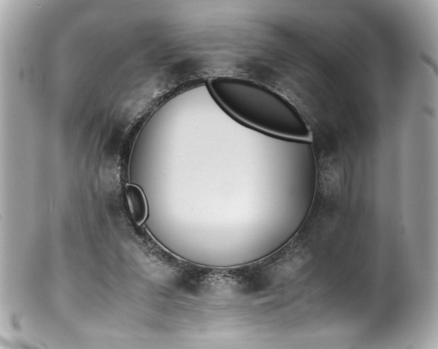 X0000100230207200805301419