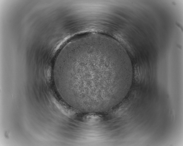 X0000100230208200805301419