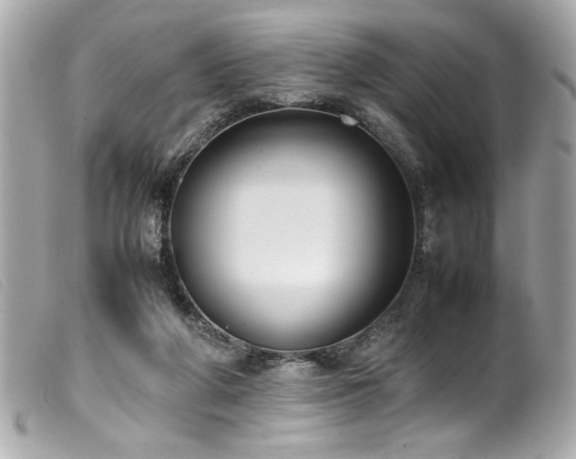 X0000100230210200805301419