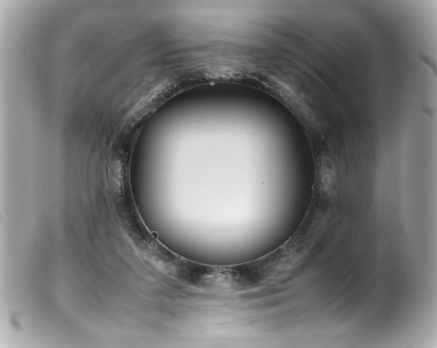 X0000100230211200805301419