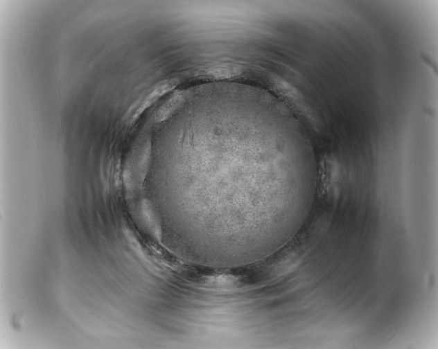 X0000100230212200805301419