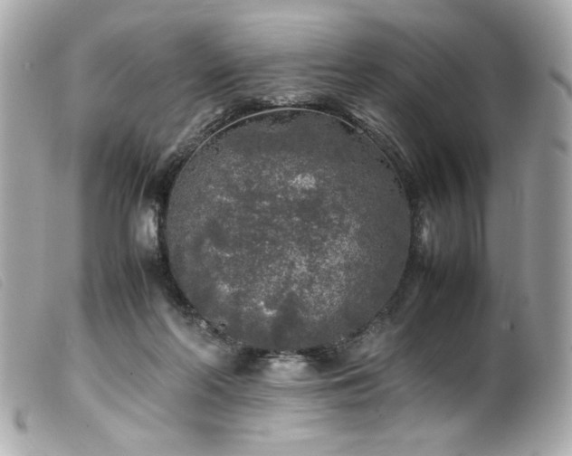 X0000100230214200805301419