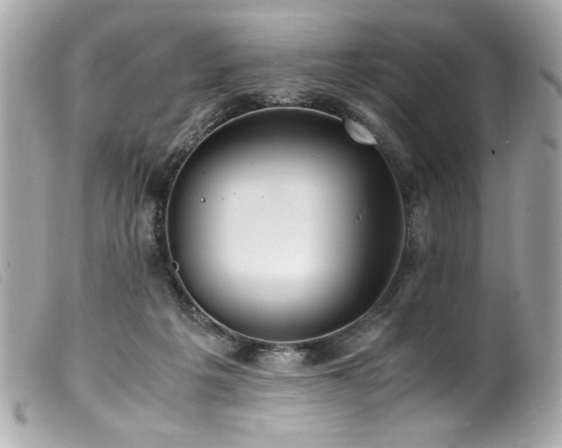 X0000100230217200805301419