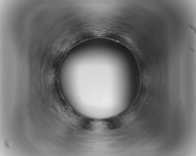 X0000100230221200805301419