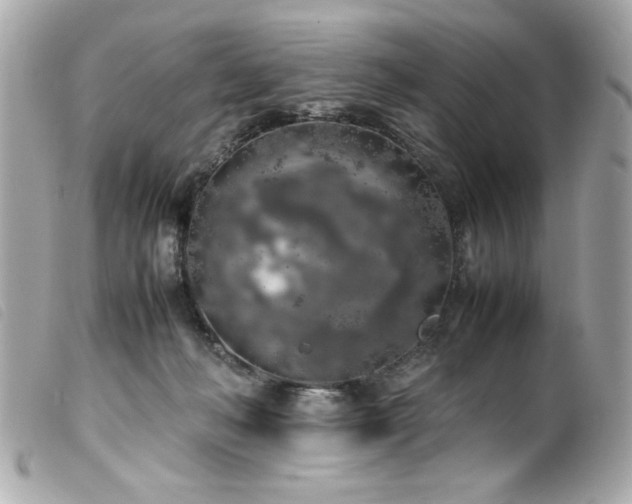 X0000100230222200805301419