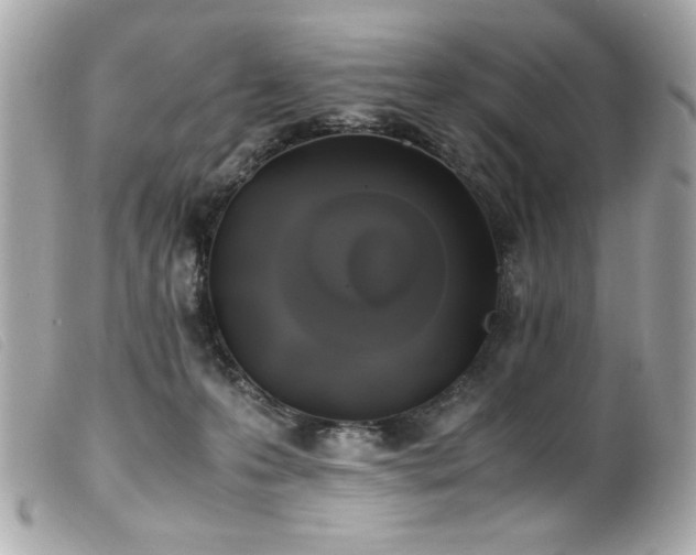 X0000100230223200805301419