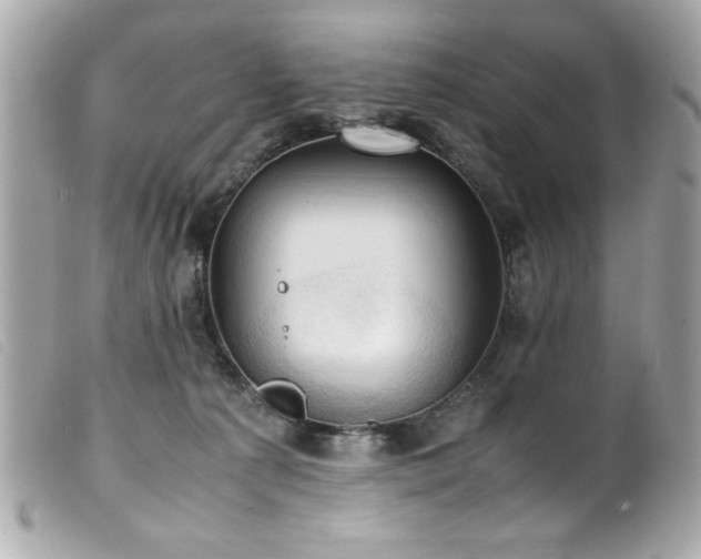 X0000100230225200805301419