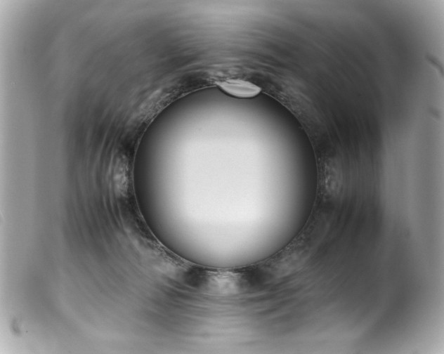 X0000100230226200805301419