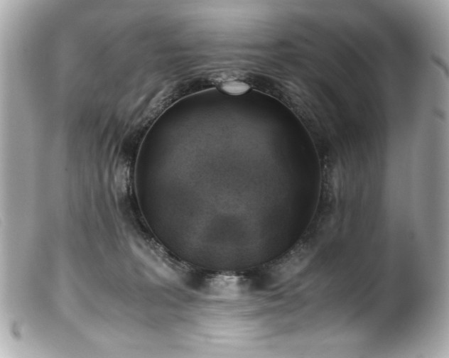 X0000100230227200805301419