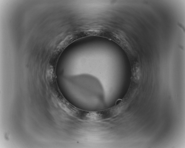 X0000100230231200805301419