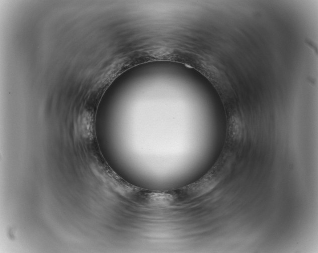 X0000100230234200805301419