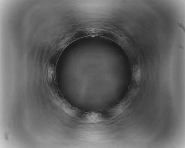 X0000100230235200805301419