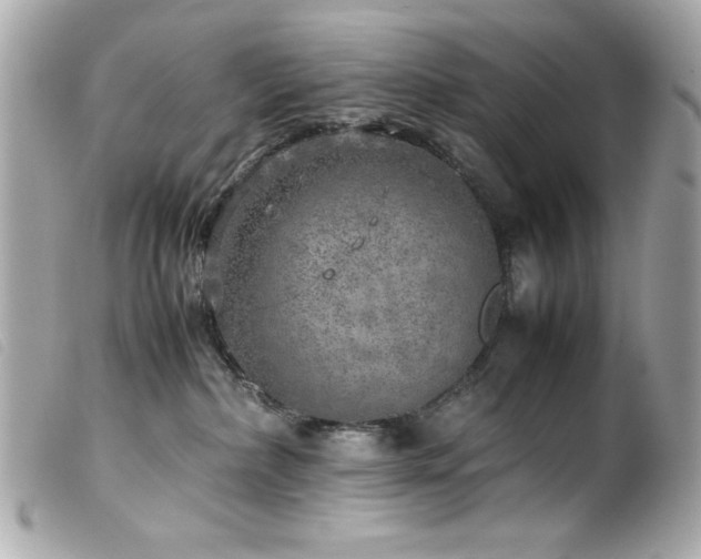 X0000100230236200805301419