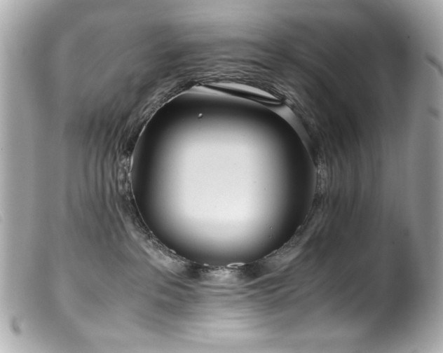 X0000100230237200805301419